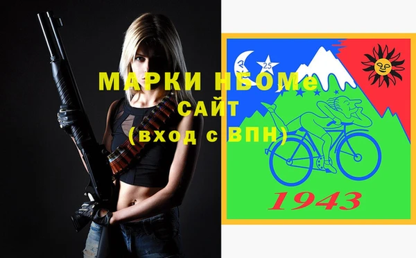 гидра Вязьма