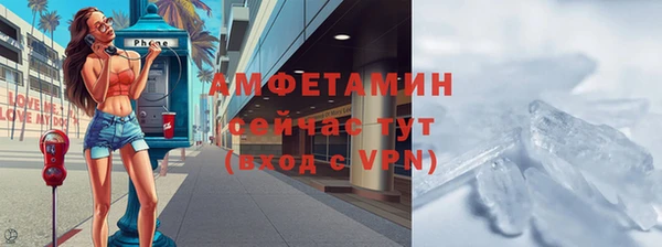 гидра Вязьма