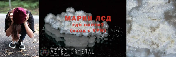 гидра Вязьма