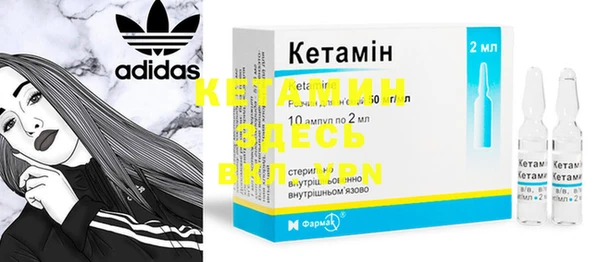 гидра Вязьма