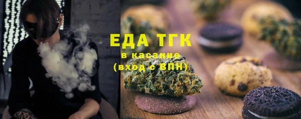 гидра Вязьма