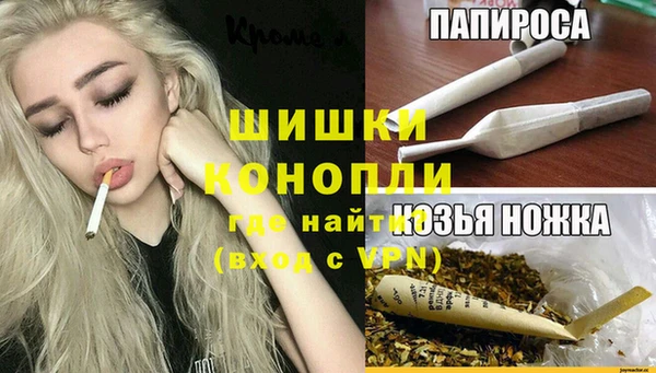 гидра Вязьма