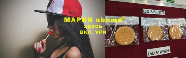гидра Вязьма