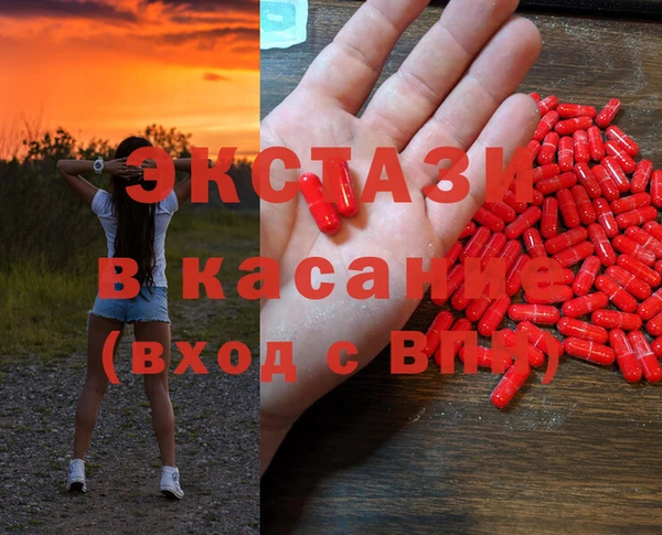 гидра Вязьма