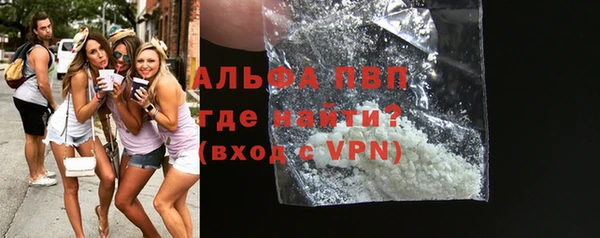 гидра Вязьма